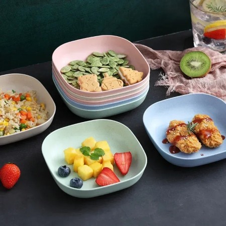 Multicolor 10-Piece Square Plate Set